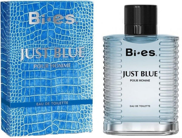 Bi-Es Just Blue Pour Homme EDT 100ml/Versace Man Eau Fraiche parfüm utánzat